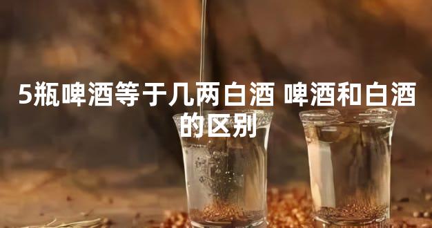 5瓶啤酒等于几两白酒 啤酒和白酒的区别